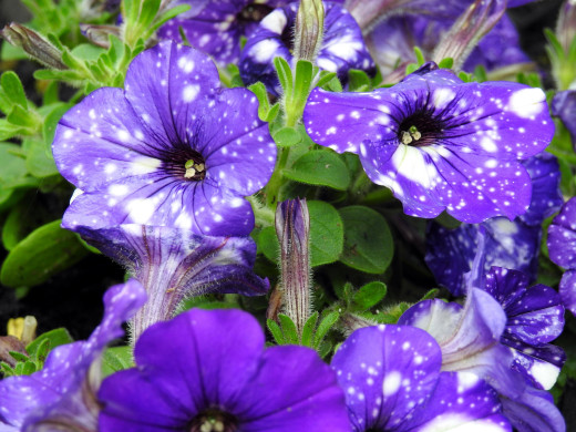 1182577 (a): :2560x1920